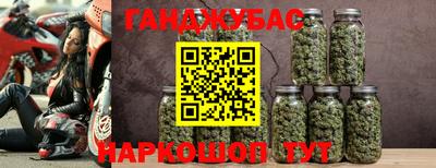 индика Северобайкальск