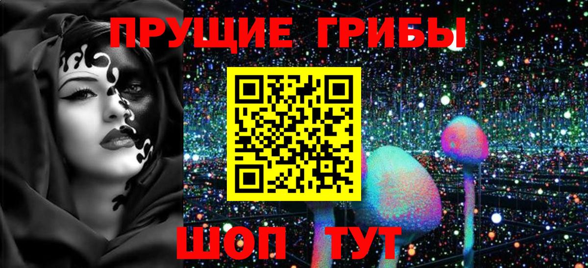 Галлюциногенные грибы Psilocybe  магазин    Ленинск-Кузнецкий  Вход с VPN 