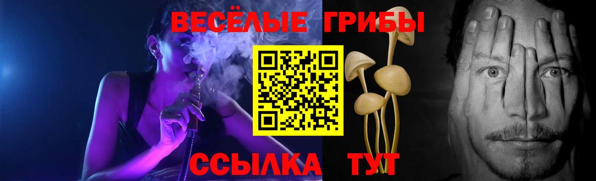 Галлюциногенные грибы Cubensis Ленинск-Кузнецкий