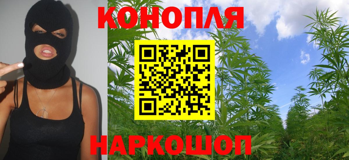 Марихуана ГИДРОПОН  Вход с VPN  Шишки марихуана план  Ленинск-Кузнецкий 